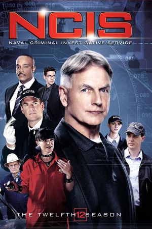 NCIS (Phần 12)