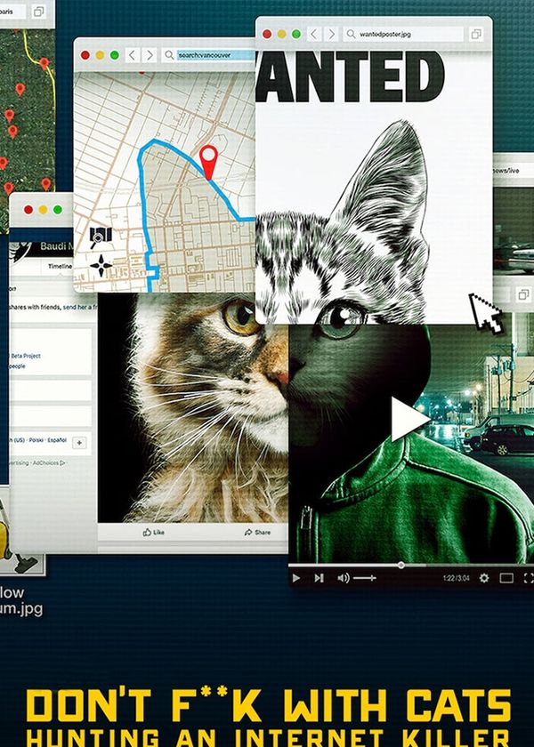 Đừng đùa với mèo: Săn lùng kẻ sát nhân trên mạng
