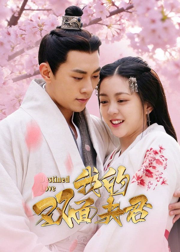 Ngã Đích Song Diện Phu Quân