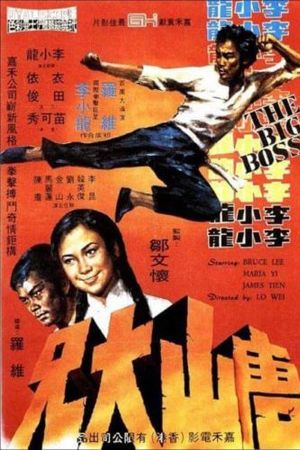 Đường Sơn Đại Huynh