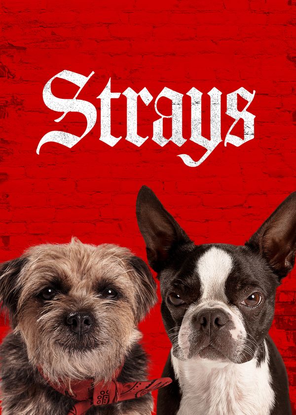 Những Chú Chó Bụi Đời