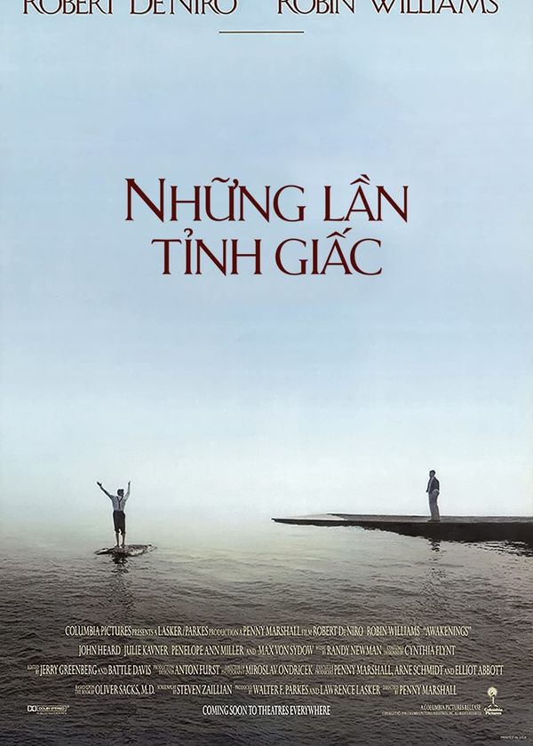Những Lần Tỉnh Giấc