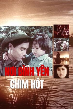 Nơi Bình Yên Chim Hót