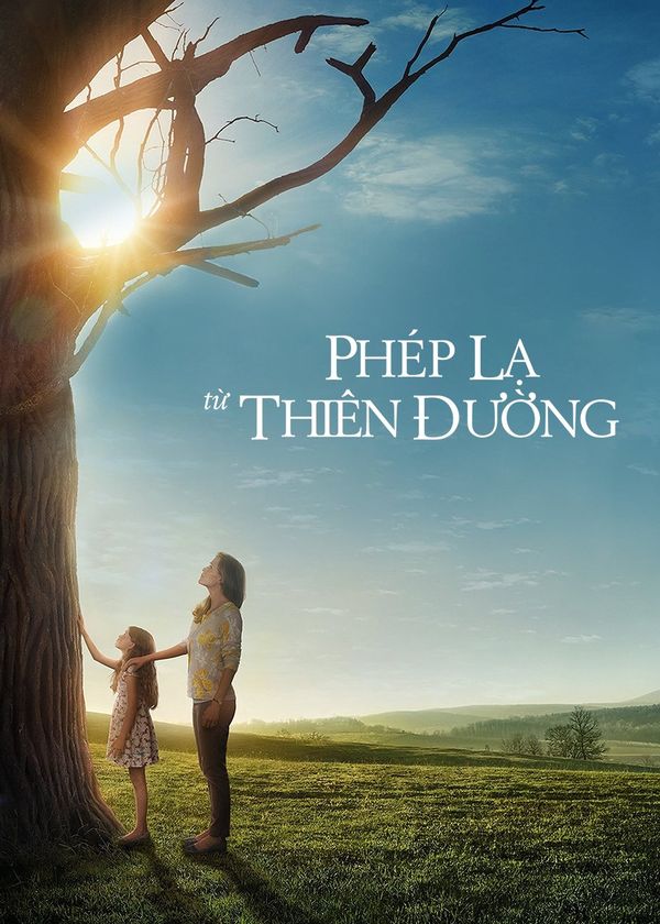 Phép Lạ Từ Thiên Đường