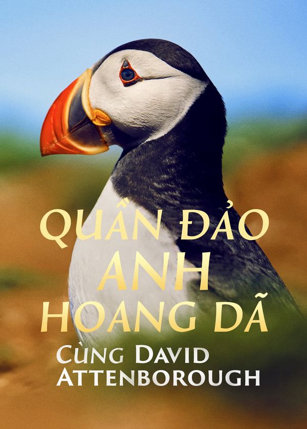 Quần Đảo Anh Hoang Dã