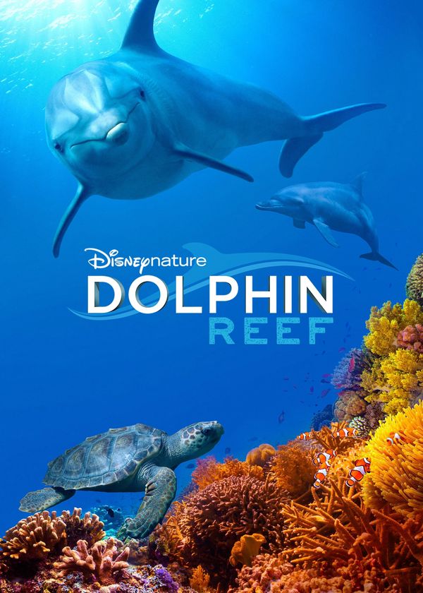 Rạn San Hô Cá Heo