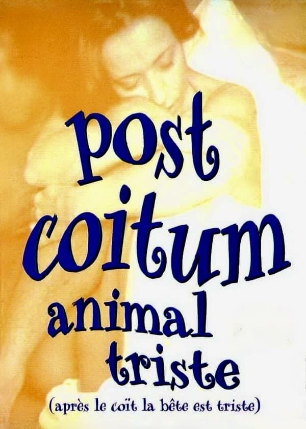 Sau Đêm Nồng Cháy