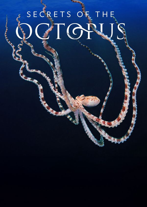 Secrets of the Octopus