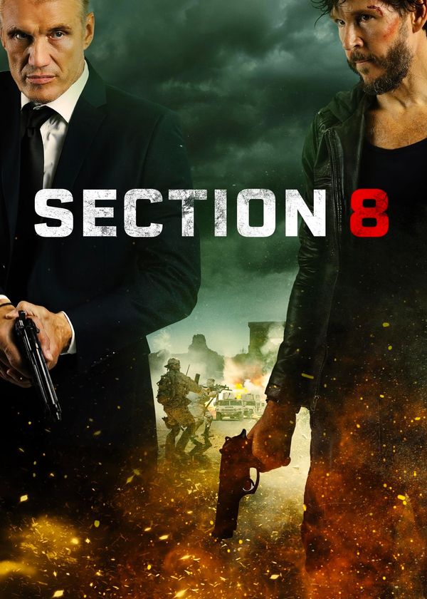 Section 8