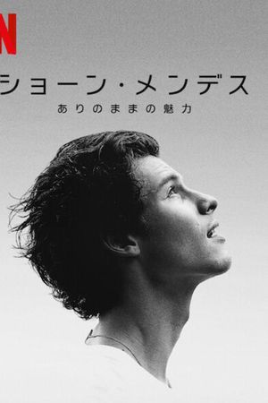 Shawn Mendes: In Wonder