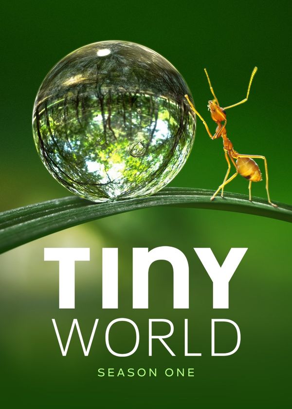 Thế Giới Siêu Nhỏ (Phần 1)