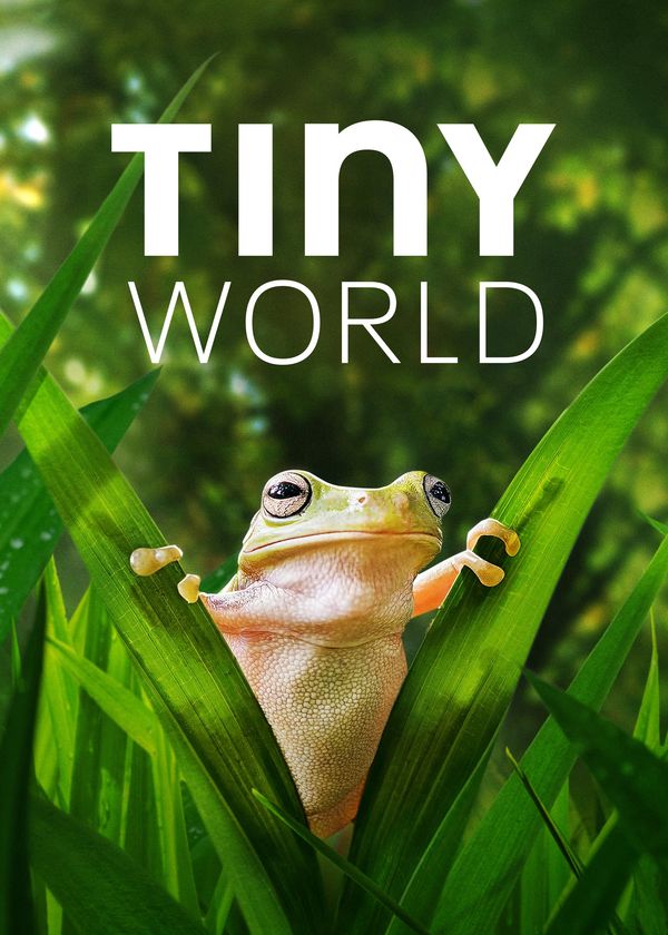 Thế Giới Siêu Nhỏ (Phần 2)