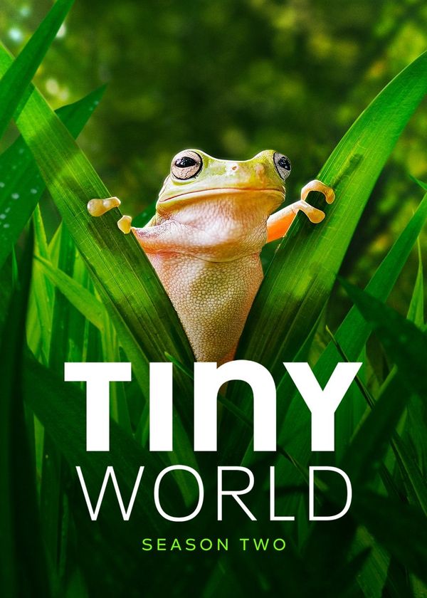 Thế Giới Siêu Nhỏ (Phần 2)