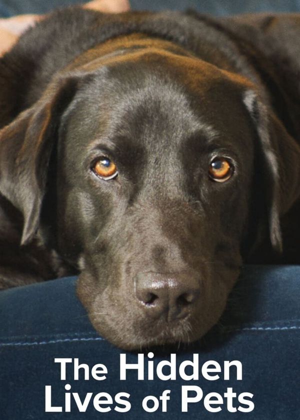 The Secret Life of Our Pets