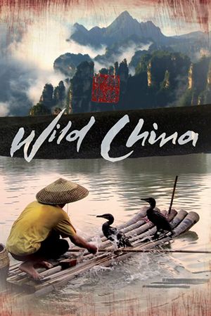 Thiên Nhiên Hoang Dã Trung Quốc