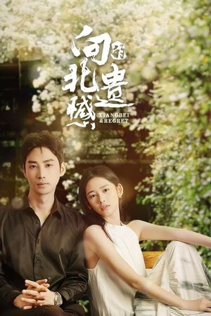 Tiếc Nuối Của Hướng Bắc