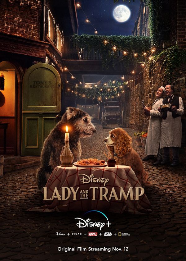 Tiểu Thư Và Gã Lang Thang