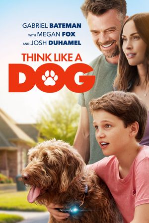 Tâm tư của chú khuyển