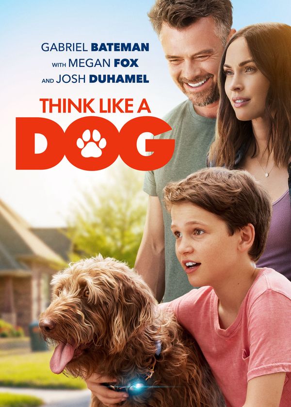 Tâm tư của chú khuyển