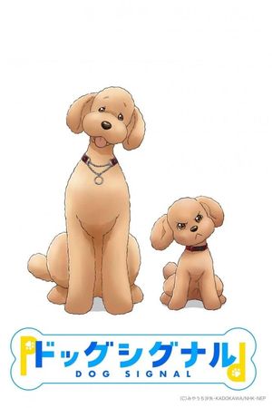 Tín Hiệu Cún Cưng