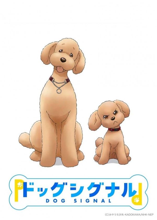 Tín Hiệu Cún Cưng