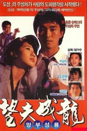 Tình Yêu Và Cuộc Đời