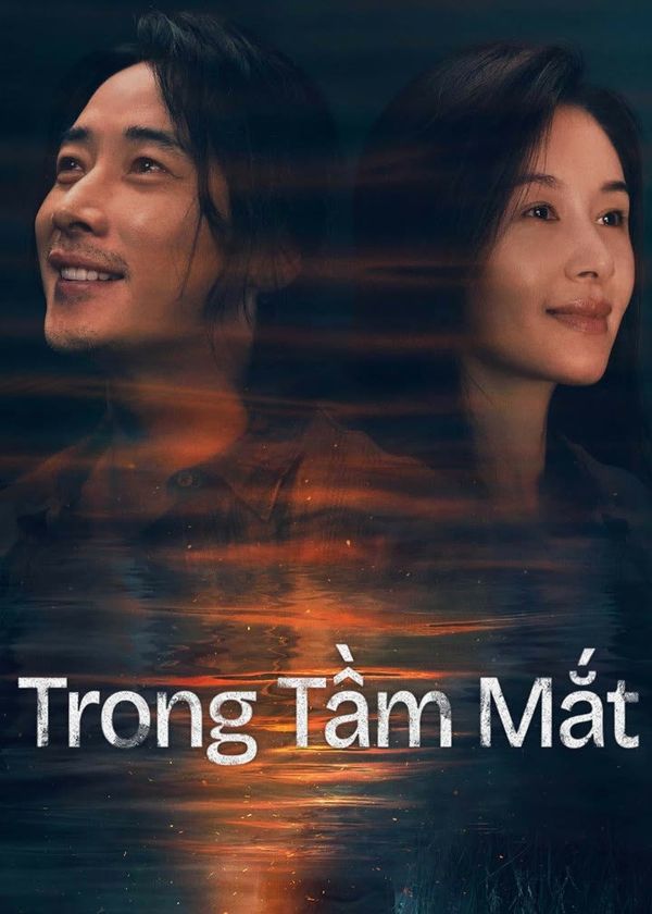 Trong Tầm Mắt