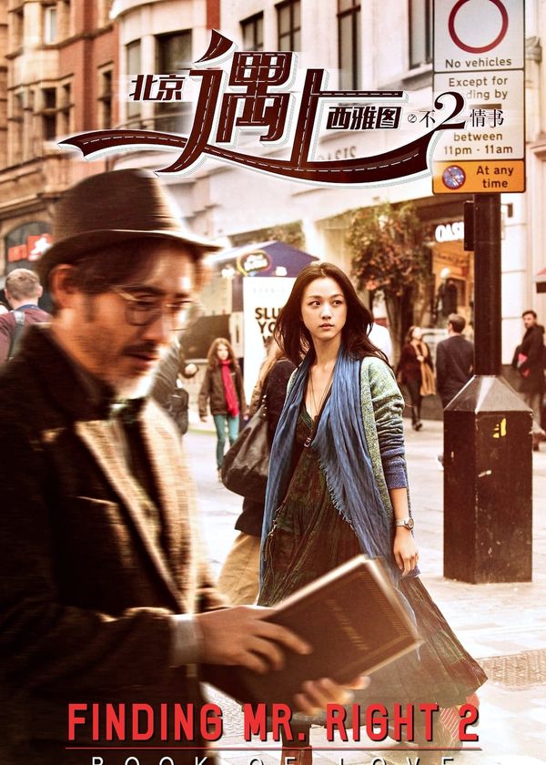 Truy Tìm Người Hoàn Hảo 2 : Cuốn Sách Tình Yêu