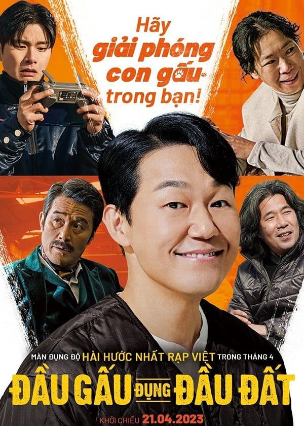 Đầu Gấu Đụng Đầu Đất