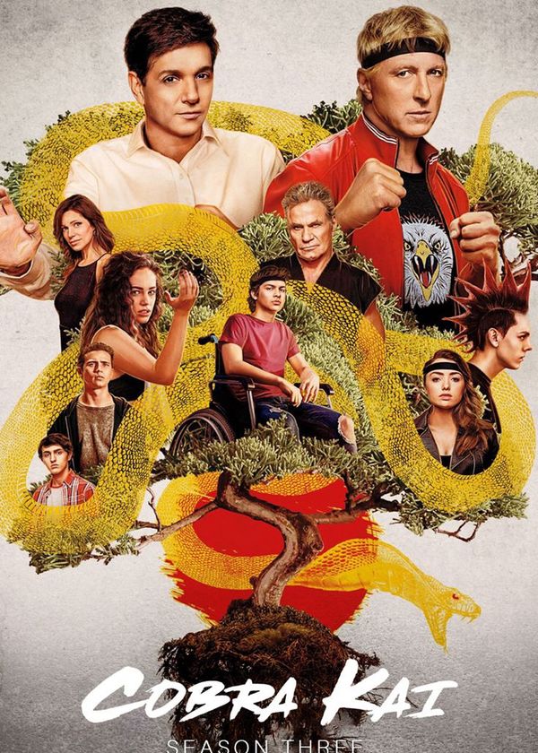 Võ Đường Cobra Kai (Phần 3)