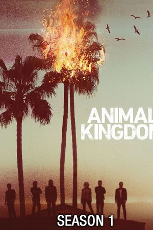 Vương Quốc Động Vật (Phần 1)