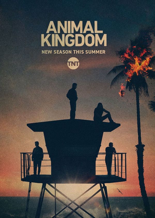 Vương Quốc Động Vật (Phần 5)